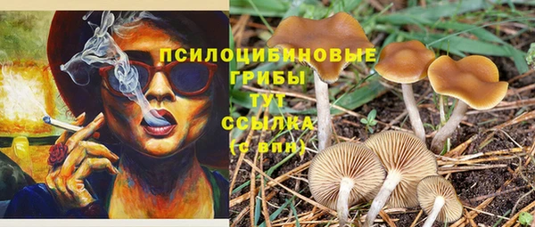 мдпв Куйбышев