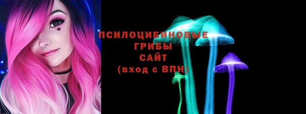 мдпв Куйбышев