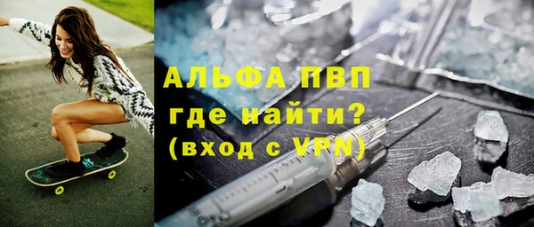 гашик Осташков