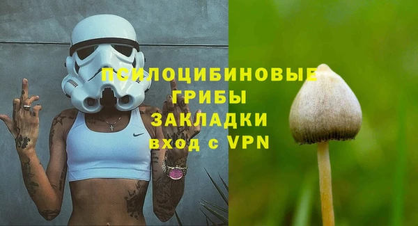 гидропоника Осинники